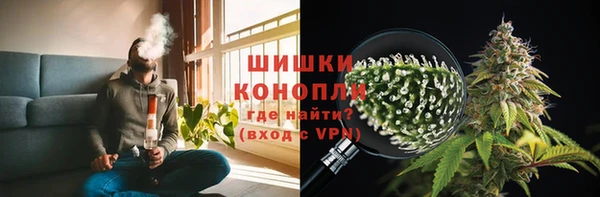 ПСИЛОЦИБИНОВЫЕ ГРИБЫ Александровское