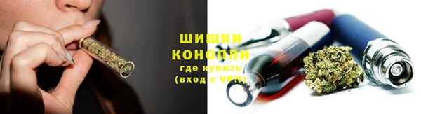 ПСИЛОЦИБИНОВЫЕ ГРИБЫ Александровское