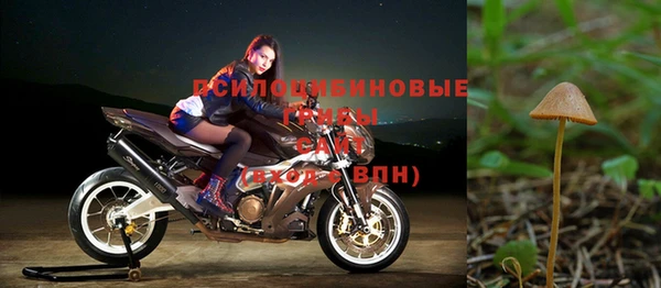 МДМА Гусев