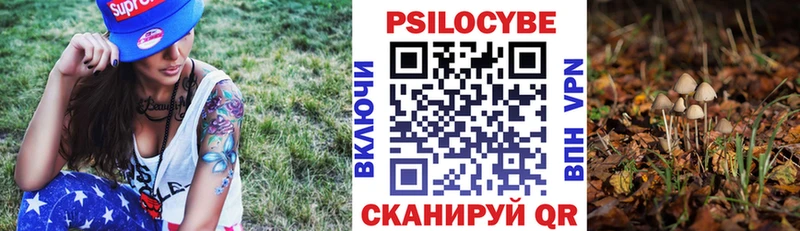 Псилоцибиновые грибы Cubensis  Давлеканово 